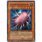 Cocoon of Evolution, Ophalen of Verzenden, Zo goed als nieuw, Losse kaart