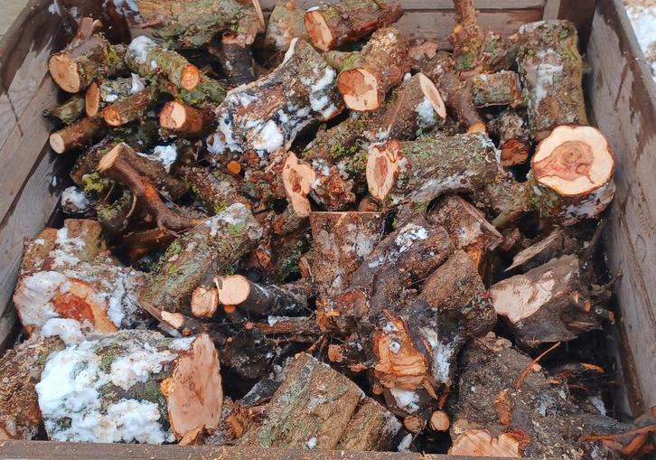 Hardhout PRUIMEN haardhout, Tuin en Terras, Haardhout, Minder dan 3 m³, Ophalen of Verzenden