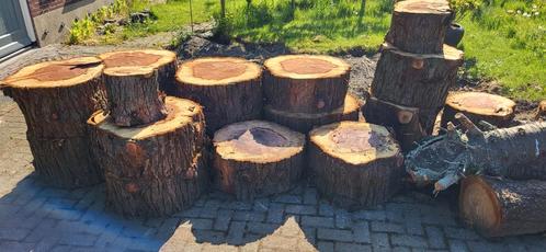 Stukken boomstam van mammoetboom, Tuin en Terras, Haardhout, Overige houtsoorten, Minder dan 3 m³, Ophalen