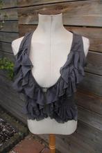 Vestje grijs Juffrouw Jansen Amsterdam mt L Vaste prijs, Maat 42/44 (L), Ophalen of Verzenden, Zo goed als nieuw, Grijs