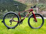 Bulls Copperhead Beachracer 29” custompaint, Heren, Zo goed als nieuw, Geen vering, 53 tot 57 cm