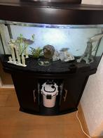 Juwel aquarium 180 met meubel en externe pomp, Dieren en Toebehoren, Vissen | Aquaria en Toebehoren, Ophalen, Zo goed als nieuw