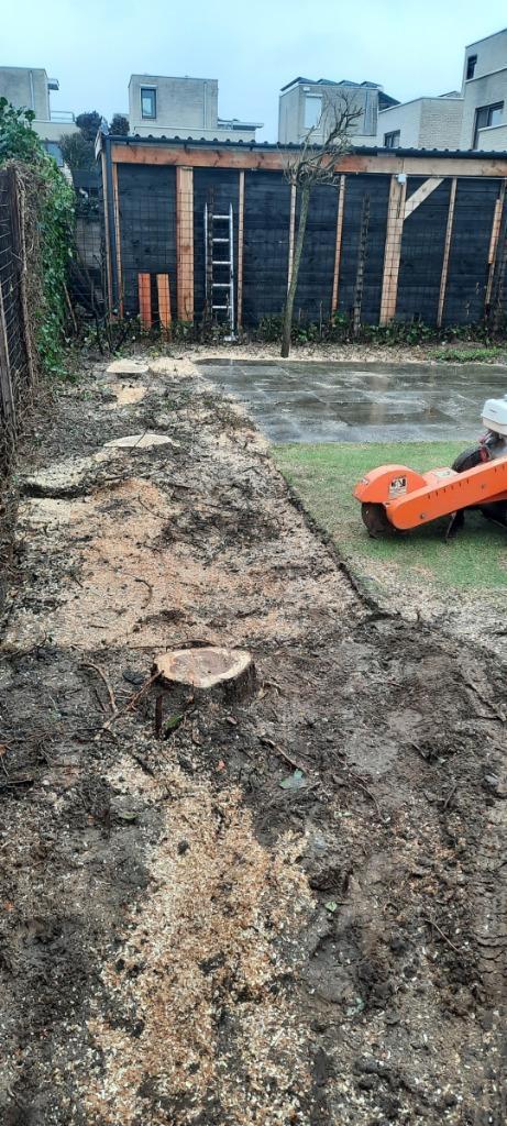 Boomstronk verwijderen stobbenfrezen stronk verwijderen boom, Diensten en Vakmensen, Tuinmannen en Stratenmakers, Tuinonderhoud of Snoeiwerk