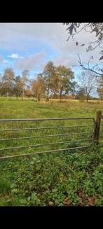 Te huur weiland,, Dieren en Toebehoren