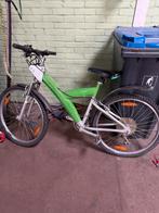 Pininfarina Mountainbike - Gebruikt, Gebruikt, 49 tot 53 cm, Dames, Geen vering