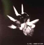 Dj Niel - under my skin, Ophalen of Verzenden, Gebruikt, 12 inch, Dance Populair
