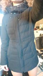 Zara winterjas, Kleding | Dames, Zwart, Ophalen of Verzenden, Maat 36 (S), Onbekend