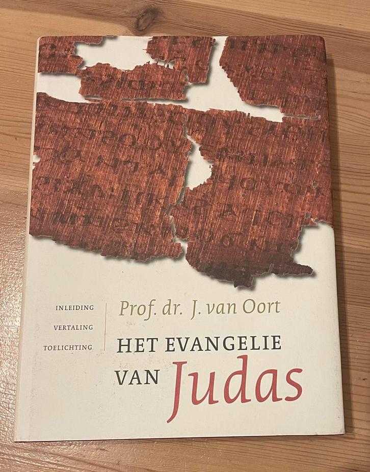J. van Oort - Het evangelie van Judas, Boeken, Godsdienst en Theologie, Zo goed als nieuw, Ophalen of Verzenden
