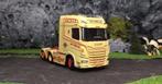 wsi Lars E. Nielsen; DAF XG+ 6X2 TAG AXLE, Info@seipholland.nl, Nieuw, Ophalen of Verzenden, Bus of Vrachtwagen