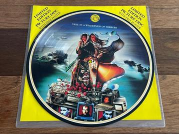 Vinyl LP Fish Vigil In A Wilderness Of Mirrors PICTURE DISC beschikbaar voor biedingen
