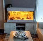 NIEUW ‼️ TERRARIUM OSB ( diverse maten ), Dieren en Toebehoren, Reptielen en Amfibieën | Toebehoren, Ophalen, Nieuw, Terrarium of Paludarium