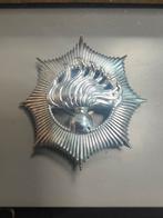 Rijkspolitie Insigne, Origineel Verzamelobject, goede staat., Ophalen of Verzenden, Zo goed als nieuw