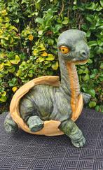 Dino in ei , polyester beelden, Tuin en Terras, Tuinbeelden, Ophalen of Verzenden, Nieuw, Kunststof, Dierenbeeld