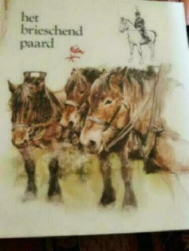 5 / 6 x Rien Poortvliet, Huis en Inrichting, Woonaccessoires | Schilderijen, Tekeningen en Foto's, Zo goed als nieuw, Schilderij