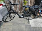 Te koop Elektrische fiets giant, Overige merken, Ophalen of Verzenden, Zo goed als nieuw, 47 tot 51 cm
