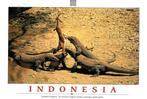 24 EXTRA grote kaarten INDONESIE JAVA €1 per stuk., Ophalen of Verzenden, 1980 tot heden, Gelopen, Utrecht