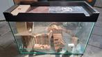 Glazen hamsterkooi, Dieren en Toebehoren, Kooi, Gebruikt, Hamster, 75 tot 110 cm