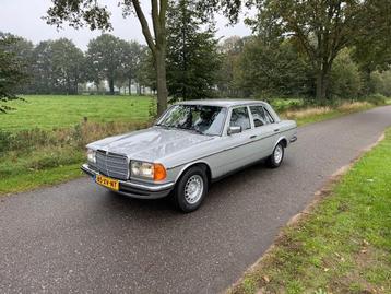 Mercedes-Benz w123 280E Automaat 1981 Geheel Gerestaureerd! beschikbaar voor biedingen