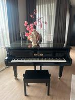 Gebr.Perzína vleugel, Ophalen of Verzenden, Zo goed als nieuw, Zwart, Vleugel