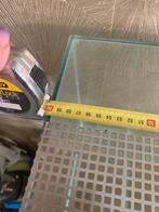 Terrarium, Dieren en Toebehoren, Reptielen en Amfibieën, Overige soorten, Met terrarium, 0 tot 2 jaar