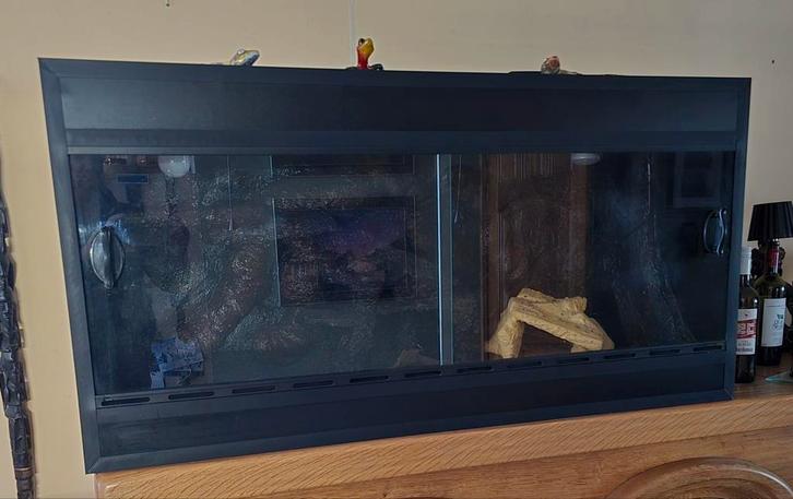 Terrarium,  124 cm lang, 62 hoog en 53 diep, Dieren en Toebehoren, Reptielen en Amfibieën | Toebehoren, Zo goed als nieuw, Ophalen