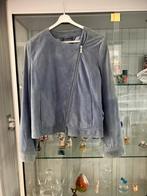 100% suède Tommy Hilfiger jas XL, Kleding | Dames, Tommy Hilfiger, Blauw, Maat 42/44 (L), Ophalen of Verzenden