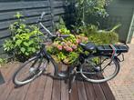 Stella Nantes Superior FDST, Ophalen, Zo goed als nieuw, 50 km per accu of meer, Overige merken