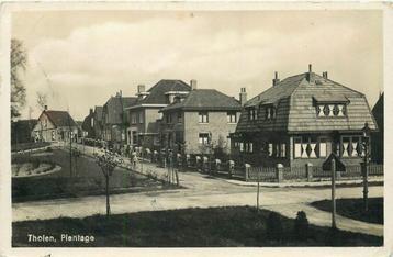 (378-288-003) Tholen  Plantage beschikbaar voor biedingen
