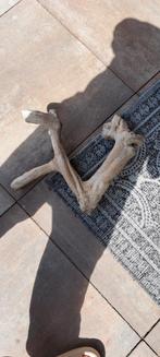 Java stammen, Dieren en Toebehoren, Ophalen