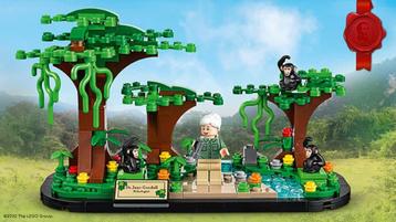 🐒LEGO 40530 Eerbetoon aan Jane Goodall. beschikbaar voor biedingen