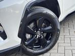 Toyota RAV4 2.5 Hybrid Bi-Tone Zeer compleet! | Panodak | Ha, Gebruikt, Euro 6, 4 cilinders, 2487 cc