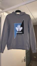 Hoodie Dsquared2, Kinderen en Baby's, Kinderkleding | Maat 176, Ophalen of Verzenden, Zo goed als nieuw, Jongen, Trui of Vest