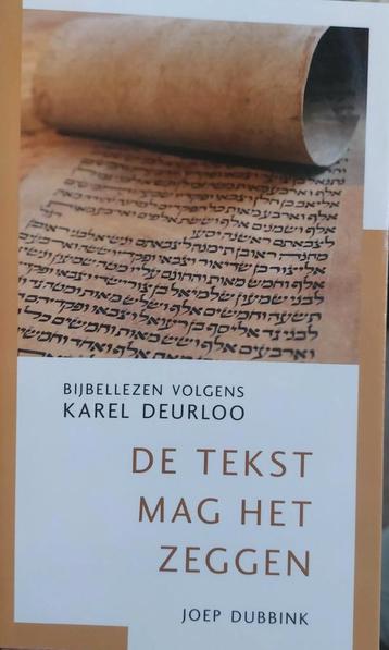 Joep Dubbink - De tekst mag het zeggen beschikbaar voor biedingen