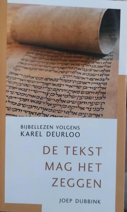 Joep Dubbink - De tekst mag het zeggen, Boeken, Godsdienst en Theologie, Zo goed als nieuw, Ophalen of Verzenden