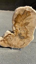 Versteend hout schijf 1,5 kg, Ophalen of Verzenden, Mineraal