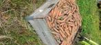 Voer peen wortelen, Dieren en Toebehoren, Dierenvoeding, Ophalen