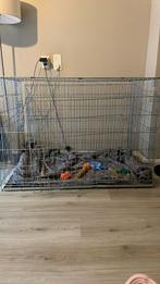 Hondenbench XXL 118x78x84, Ophalen, Zo goed als nieuw, Minder dan 65 cm