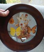 Oude Franse Brocante Vlinderkast bolglas hout schilderij, Antiek en Kunst, Ophalen of Verzenden