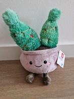 Knuffel cactus groen grijs Playing Kids Nieuw! K8911, Kinderen en Baby's, Speelgoed | Knuffels en Pluche, Ophalen of Verzenden