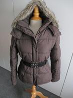 Gewatteerde winterjas bruin z.g.a.n. maat 38, Kleding | Dames, Jassen | Winter, Maat 38/40 (M), Bruin, Pescara, Ophalen of Verzenden