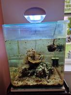 Zeewater Aquarium Dennerle Nano Cube 30x30x35, Dieren en Toebehoren, Vissen | Aquaria en Toebehoren, Gevuld zeewateraquarium, Gebruikt