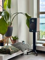 Focal Kanta 1 speakers inc. stands, Zo goed als nieuw, 120 watt of meer, Front, Rear of Stereo speakers, Ophalen