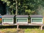 Complete Golzkast Bijenkast, Dieren en Toebehoren, Insecten en Spinnen, Bijen