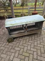 Te koop hooiruif, Dieren en Toebehoren, Meerdere dieren, Schaap