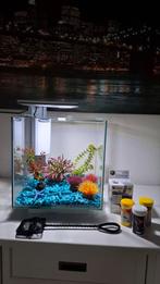 Aquarium QUBIQ 30 pro met toebehoren, Dieren en Toebehoren, Vissen | Aquaria en Toebehoren, Ophalen, Zo goed als nieuw, Leeg aquarium