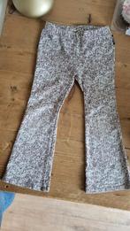 Leuke broek van Sweet Petit maat 110, Broek, Sweet Petit, Meisje, Ophalen of Verzenden