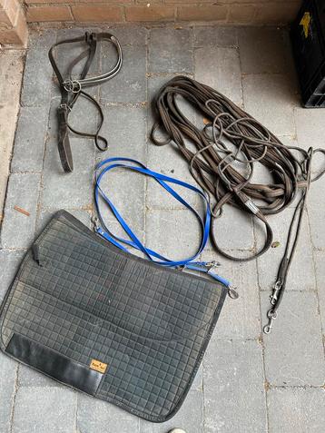 Working equatation Barefoot Lammer Haanstra Longe Bakletters beschikbaar voor biedingen
