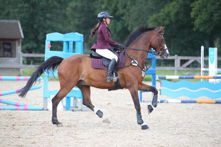 1 Trainingsplek beschikbaar, Dieren en Toebehoren, Paardrijkleding, Nieuw, Bovenkleding, Dressuur, Ophalen