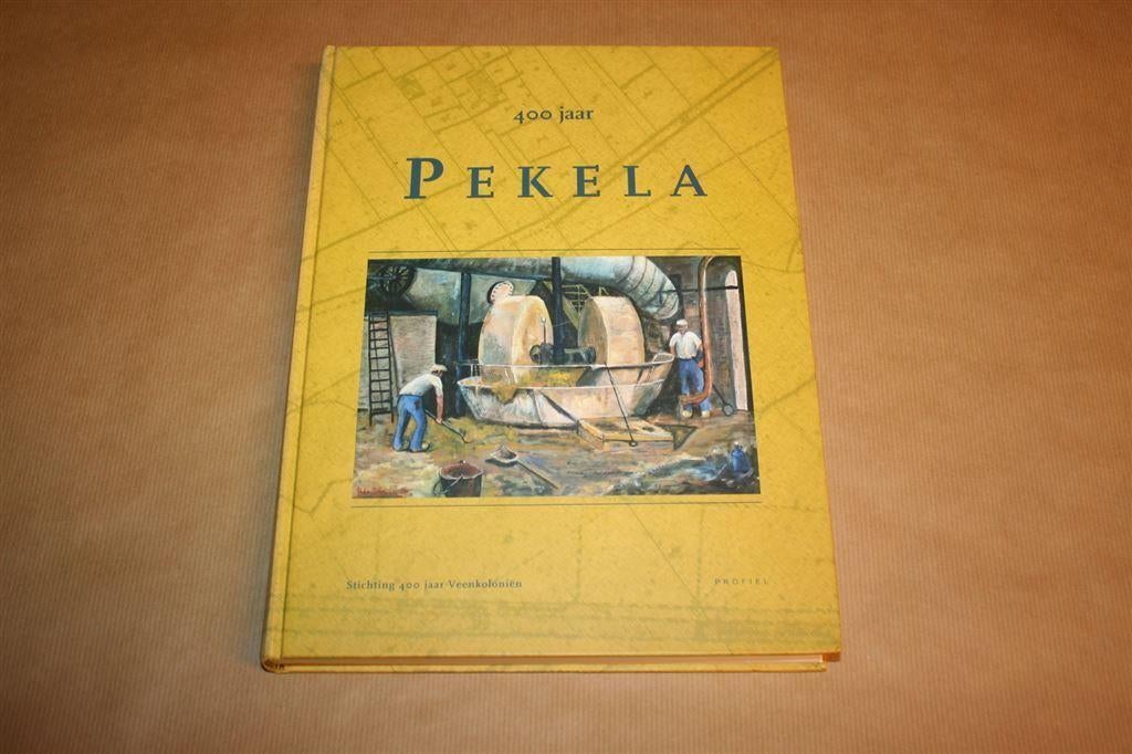 400 jaar Pekela, Boeken, Geschiedenis | Stad en Regio, Ophalen of Verzenden, Zo goed als nieuw