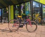 racefiets retro custom mountainbike of snelle stadsfiets?, Rower Bikeshop, Burgemeester ter Pelkwijklaan, Ophalen, Overige merken
